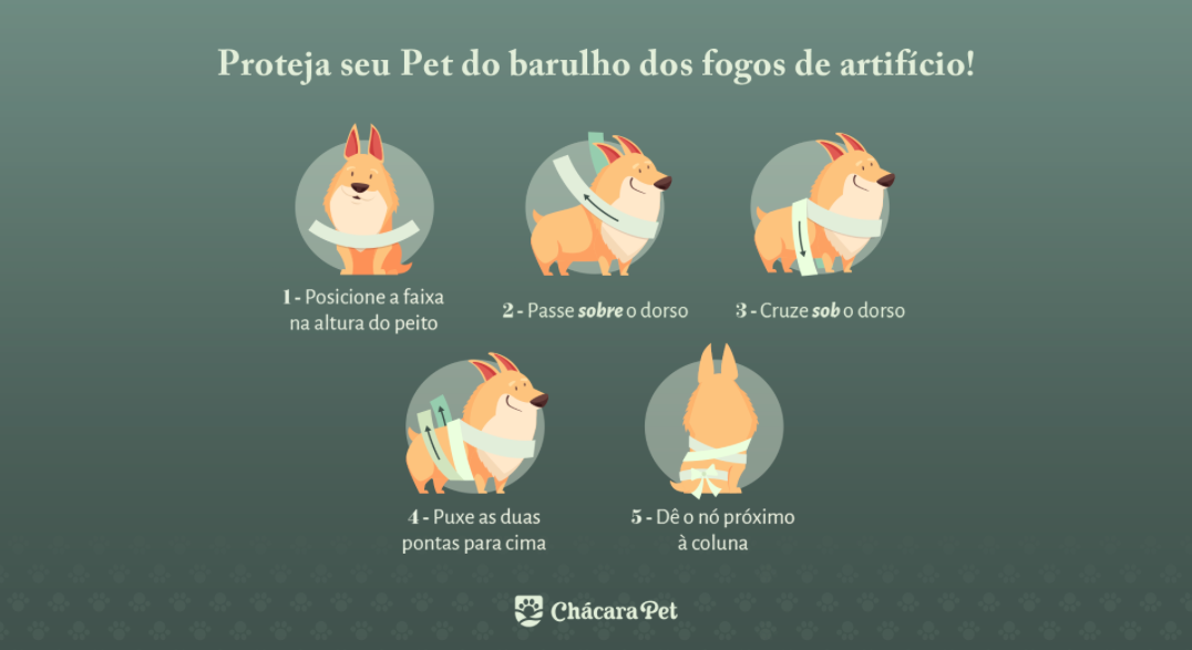 Como proteger os gatos em época de fogos de artifício