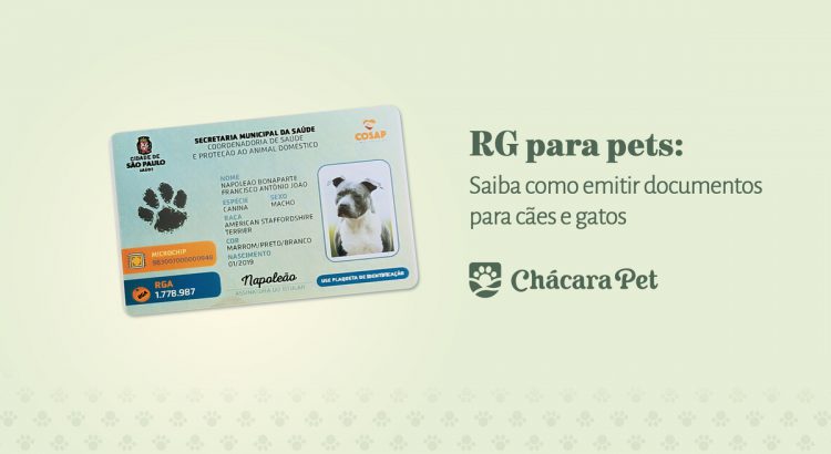 rg para pets - rga -documento para pet - rg para cachorro